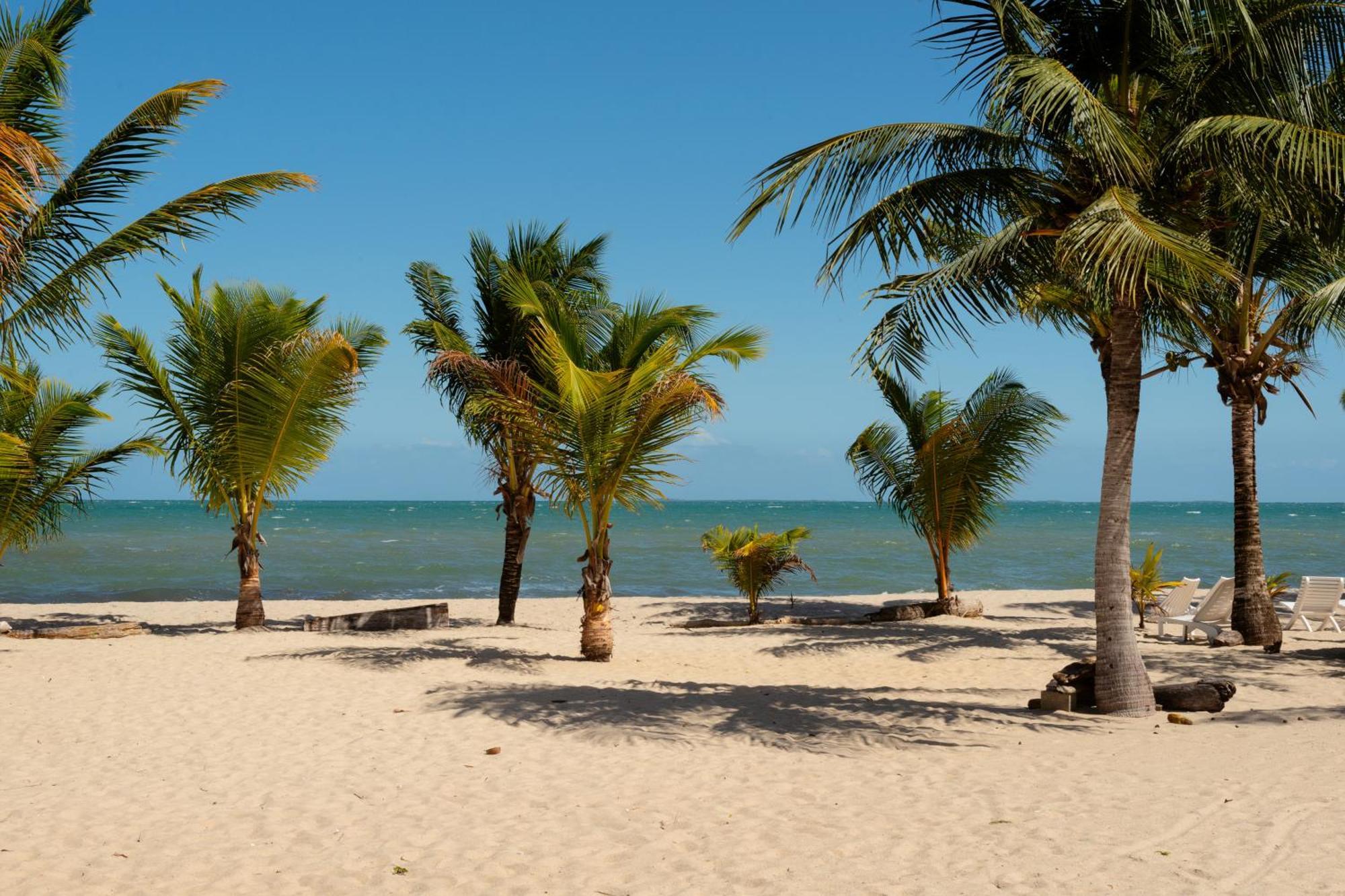 Sandy Feet Beach Resort Placencia Zewnętrze zdjęcie